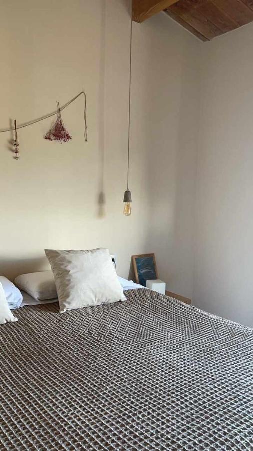 Casa Diana C lovelyhousesdiana Girona Eksteriør billede